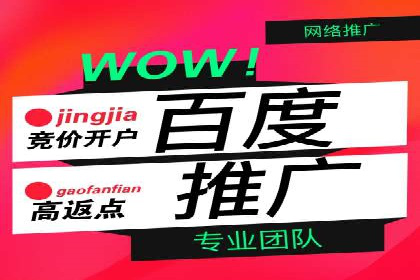某企业通过百度SEM实现ROI最大化的案例